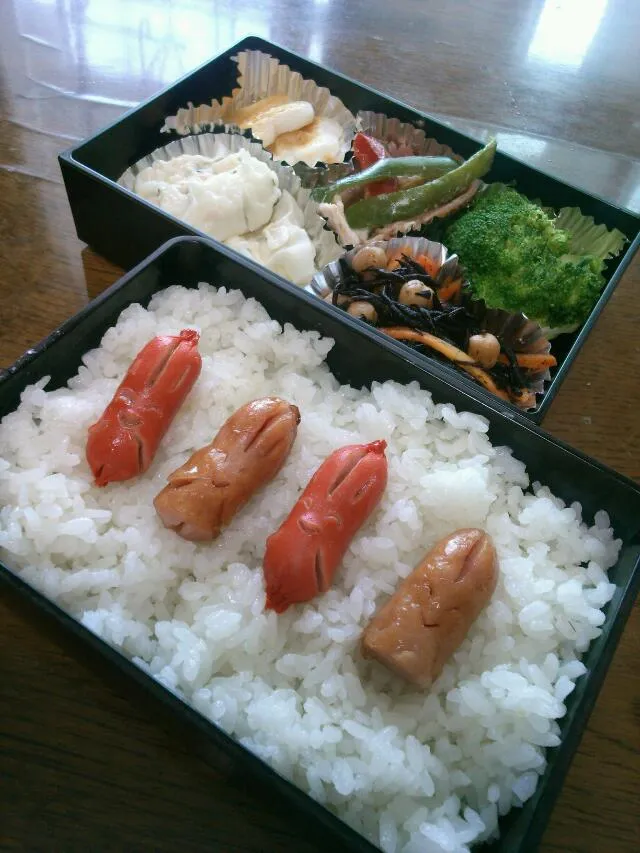 Snapdishの料理写真:6月5日のお弁当|mamaさん