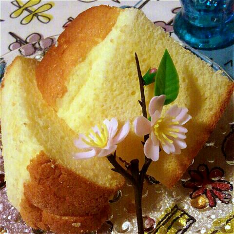 初シフォンケーキ(//∇//)ふわんふわん♡