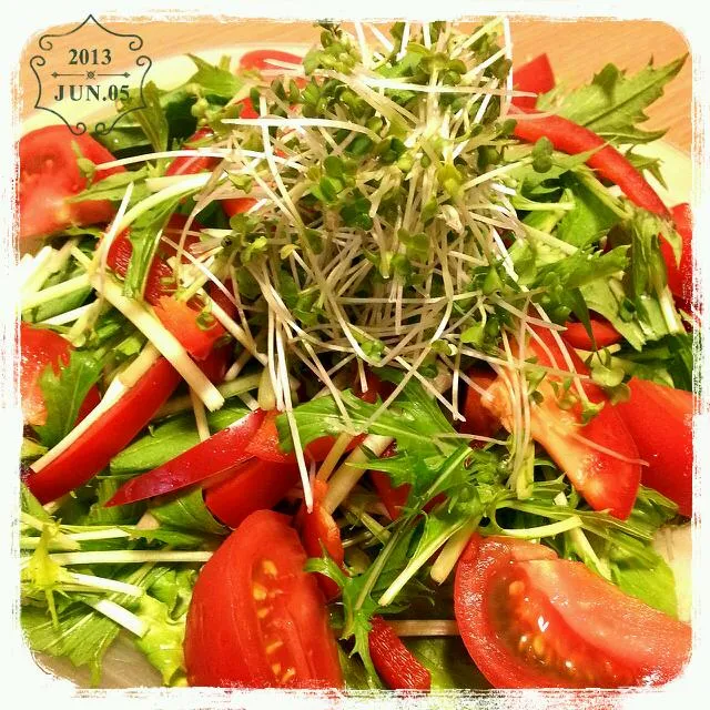 Snapdishの料理写真:❁green＆red　salad❁|*ikuko*さん