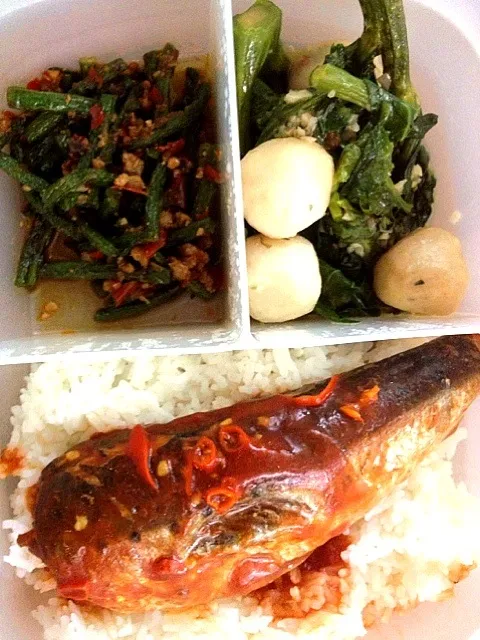 Boxed lunch with sardines, French beans fried with minced meat and kailan and fishballs in oyster sauce|Ong Sor Fernさん