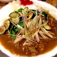 Snapdishの料理写真:夏野菜みょうがカレー