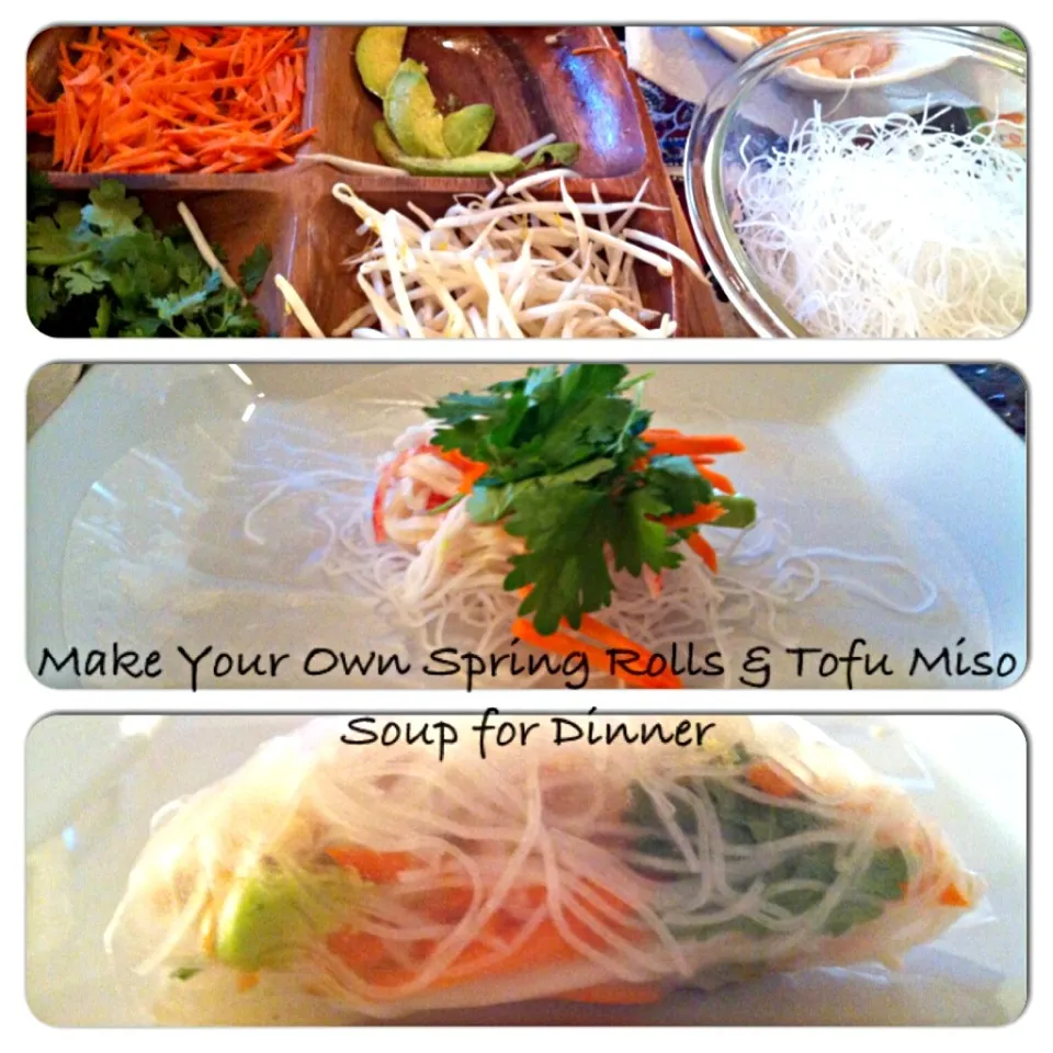 Make your own spring rolls|debbさん