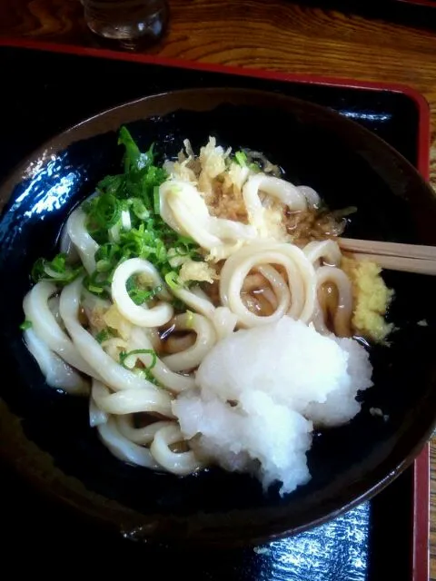 Snapdishの料理写真:香川 さぬきうどん巡り うどんバカ一代|sayoさん