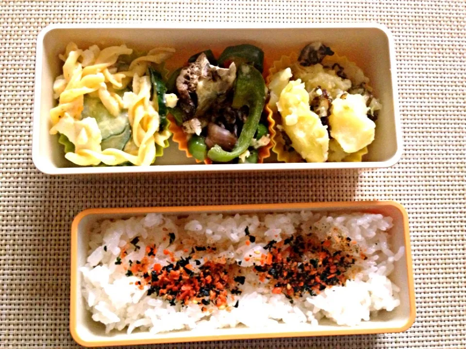 Snapdishの料理写真:本日のお弁当|satchさん