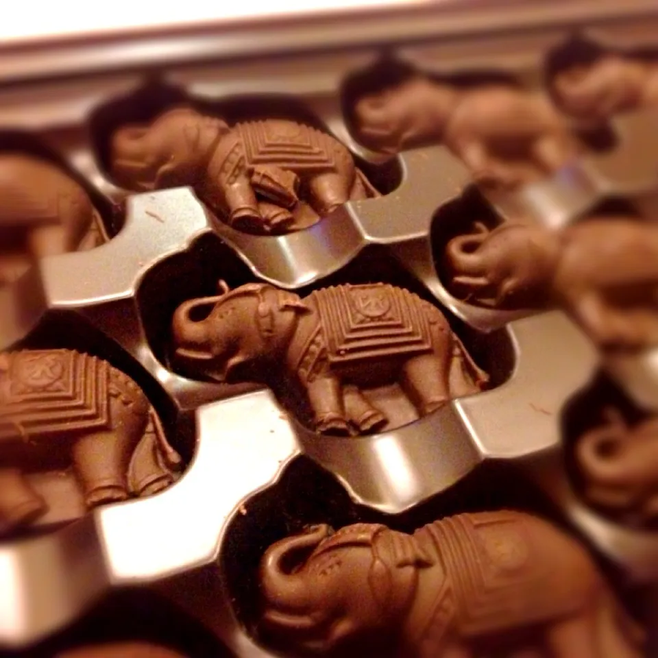 Elephant chocolates :)|Yoliさん