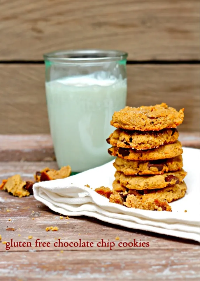 chocolate chip cookies|dina rulliさん