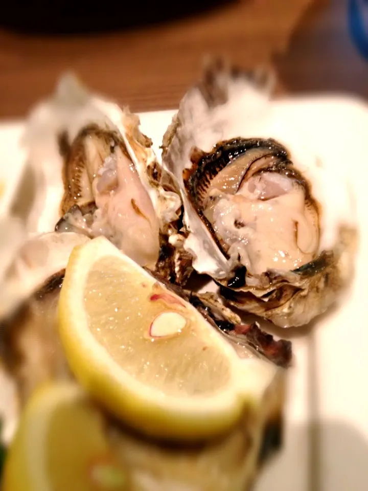 Fresh oysters|Nicholas Tayさん