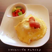 Snapdishの料理写真:トマトとハーブのオムライス♪|なつさん