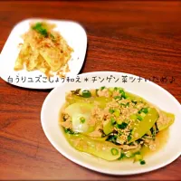 Snapdishの料理写真:白うりの柚子胡椒和え♪青梗菜とツナの炒め煮♪|なつさん