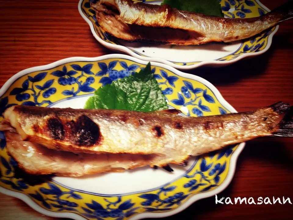 カマスの塩焼き🐟|かまさん