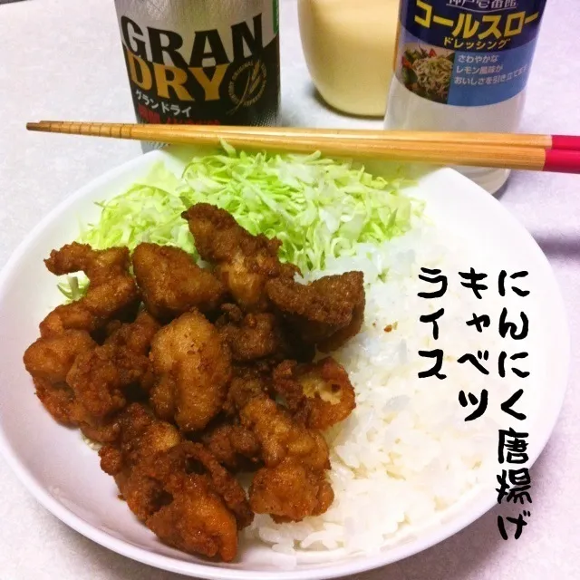 130608-にんにく唐揚げ、コールスローキャベツ、ライス ¥240 #夕食 #自炊|dune725さん