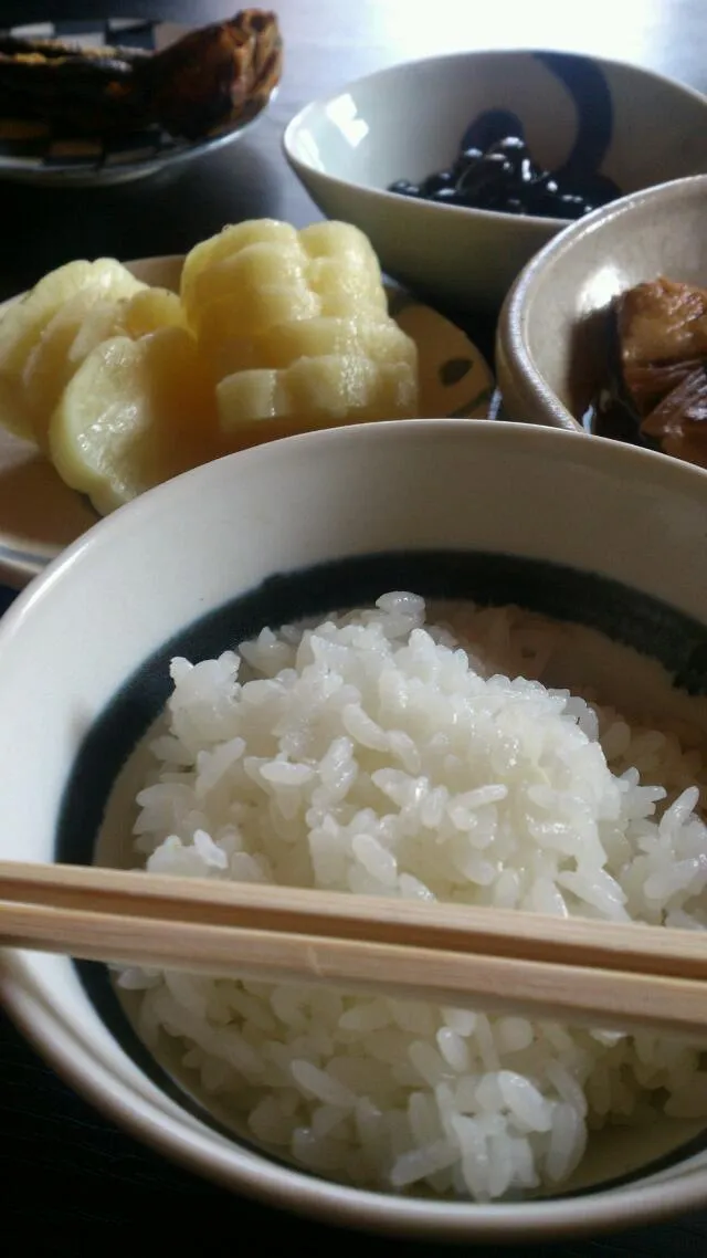 【代々木上原おこん】賄い炊きたて土鍋御飯|うめロクさん