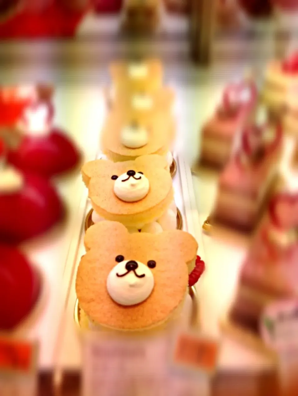 Cute bear cake|PhUnGさん