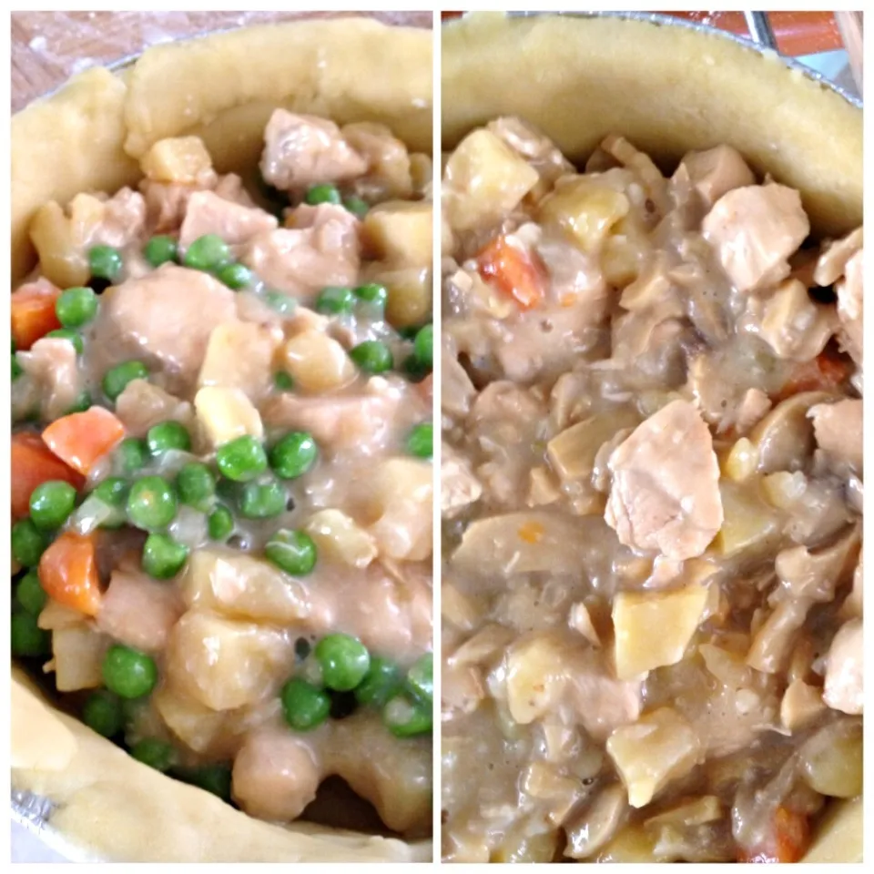 Chicken pie fillings|12Dragonさん