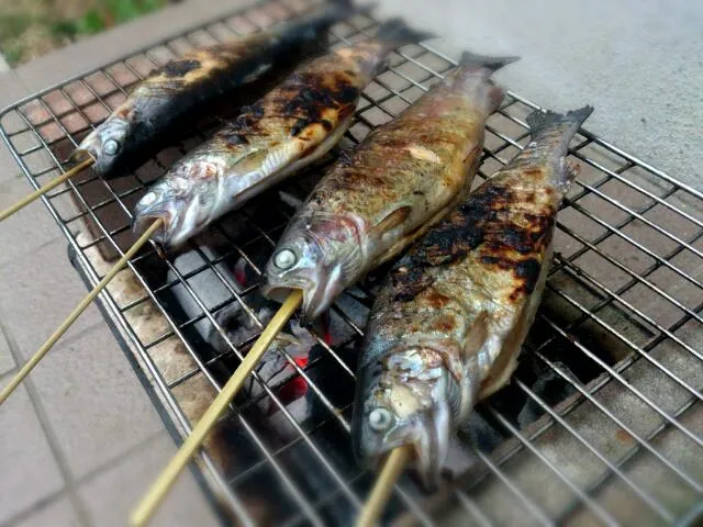 息子が釣ったマスの塩焼き♪|CALVOさん