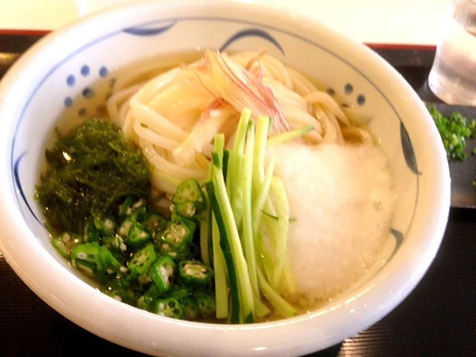 Snapdishの料理写真:涼風ねばトロうどん@谷や|yoooochanさん