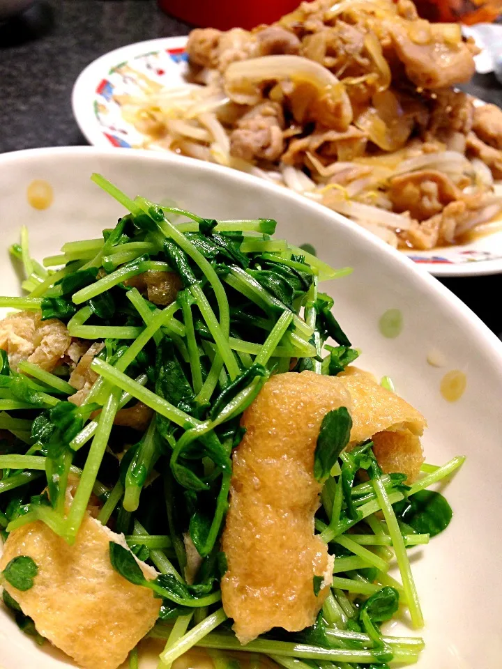 豆苗と油揚げの煮浸し•豚の生姜焼き|がぁがさん