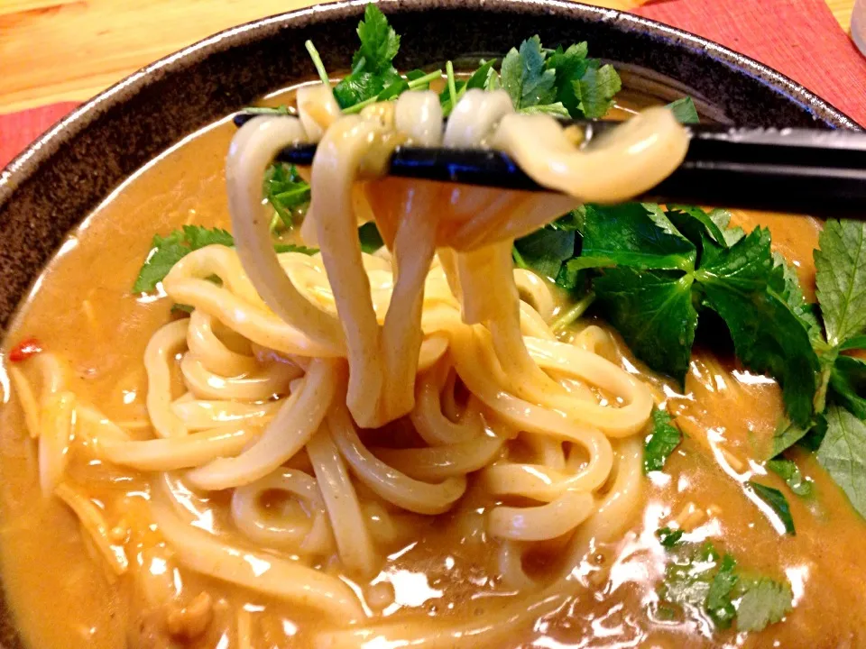 Snapdishの料理写真:豆乳カレーうどん|Yoko Hayashiさん