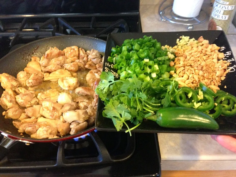 Making Carmel Chicken today!|David McGuireさん