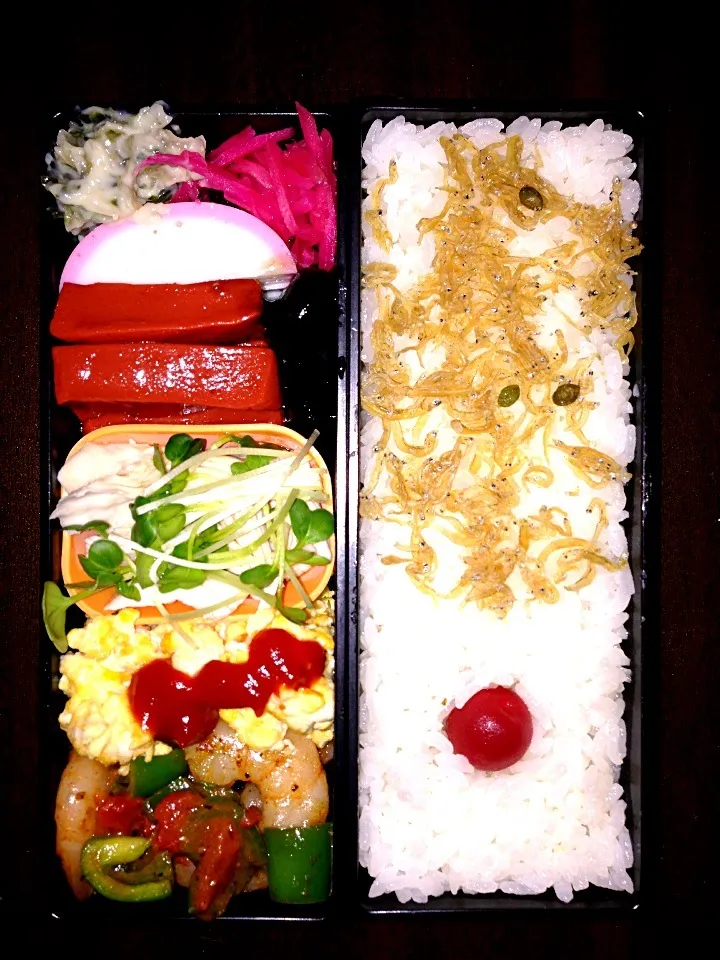 Snapdishの料理写真:今日のお弁当|Ceyさん