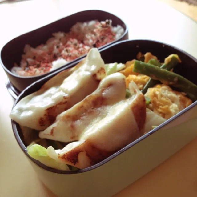 Snapdishの料理写真:餃子弁当☆|タクローさん