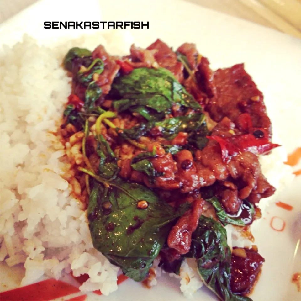 stir fried beef with holy basil@THAI,Bangkok|愛さん