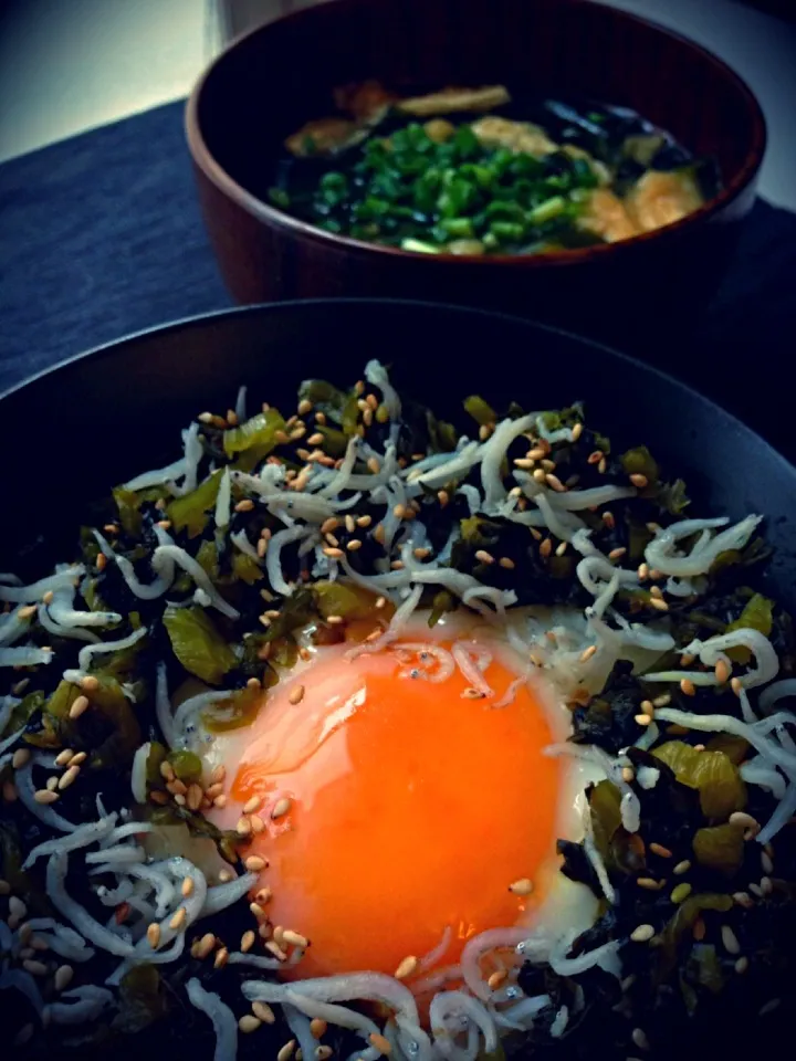 しらす高菜丼|たけさん