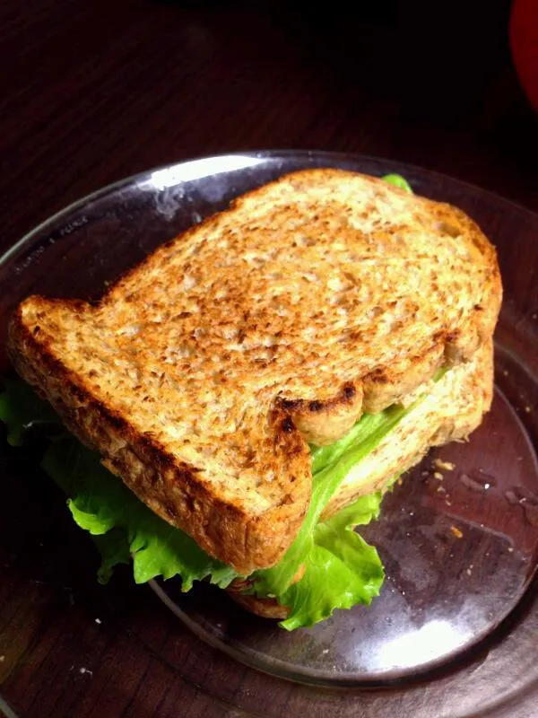 Snapdishの料理写真:toasted wholemeal bread with tuna flakes season with salt,pepper and parmesan cheese. Add in lettuce and tomato|joey limさん