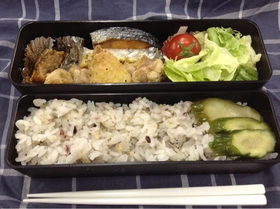 弁当（中落ちカルビ焼き、鶏肉塩レモン焼き、甘塩鮭、サラダ、胡瓜糠漬け）|SasaMasa213さん