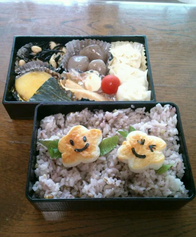 Snapdishの料理写真:6月12日のお弁当|mamaさん