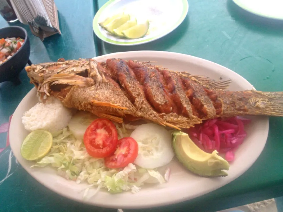 Cozumel whole fish|danさん