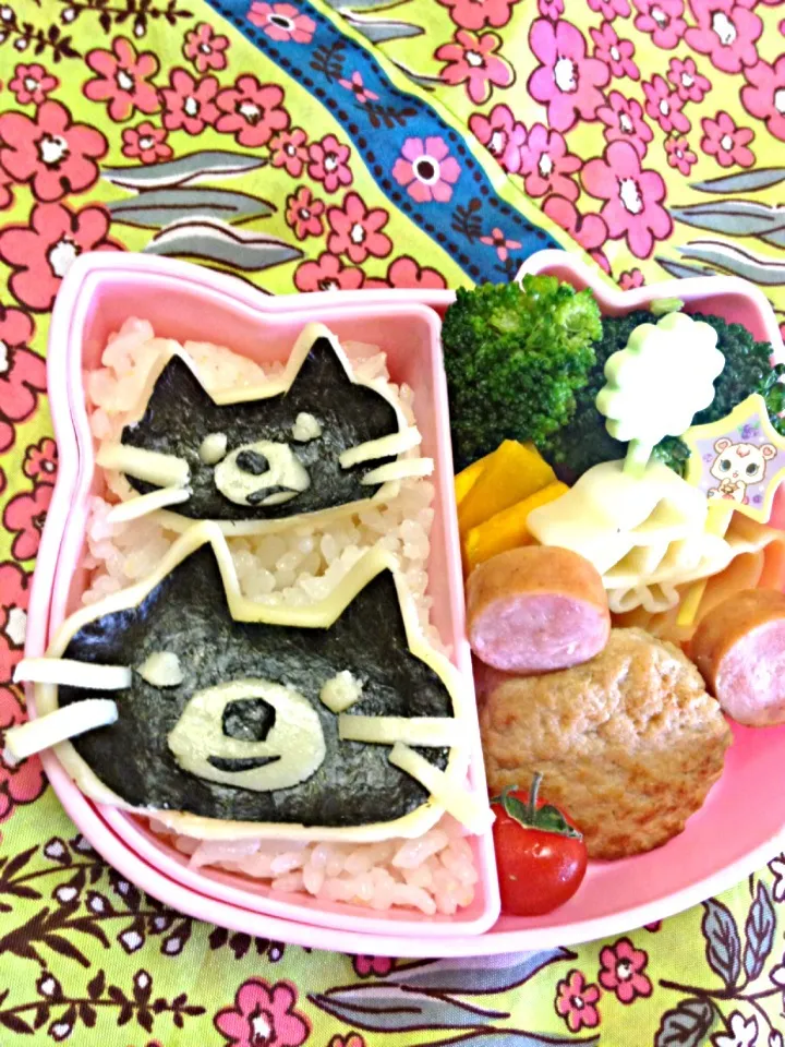 黒猫お弁当★|まえだまきさん