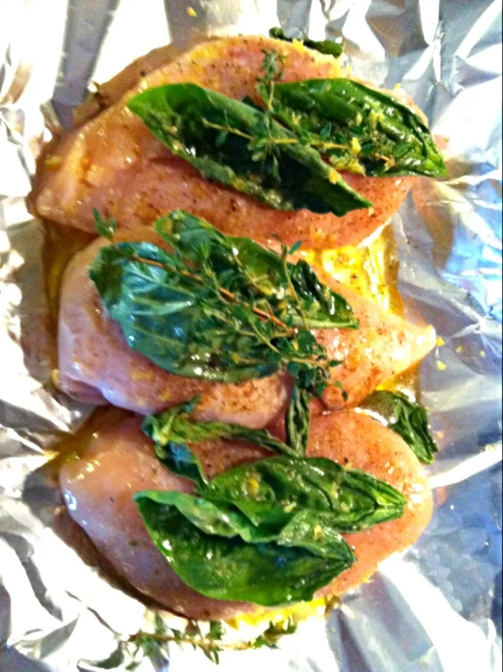 Chicken with fresh basil, thyme from the garden and olive oil and lemon zest/juice..ready for the grill|kathy mcdowellさん