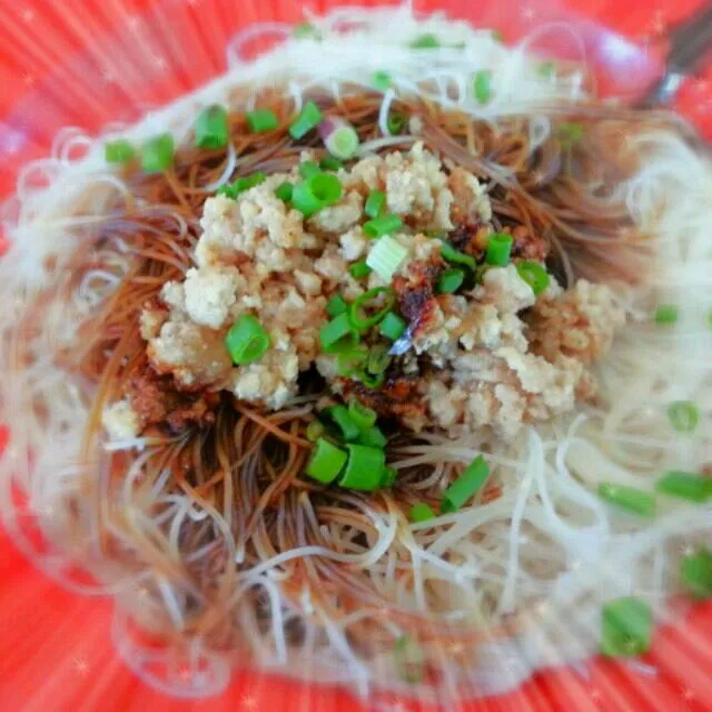 vermecilli in black soy sauce with minced pork topped with spring onions|yapさん