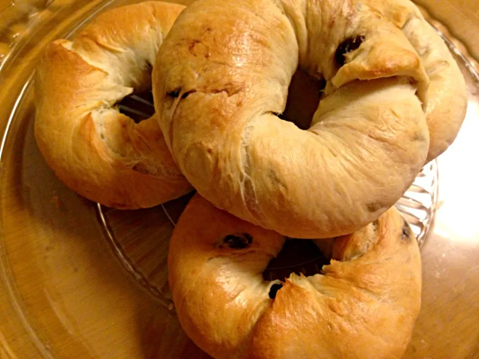 Cinnamon raisins bagels :)|mさん