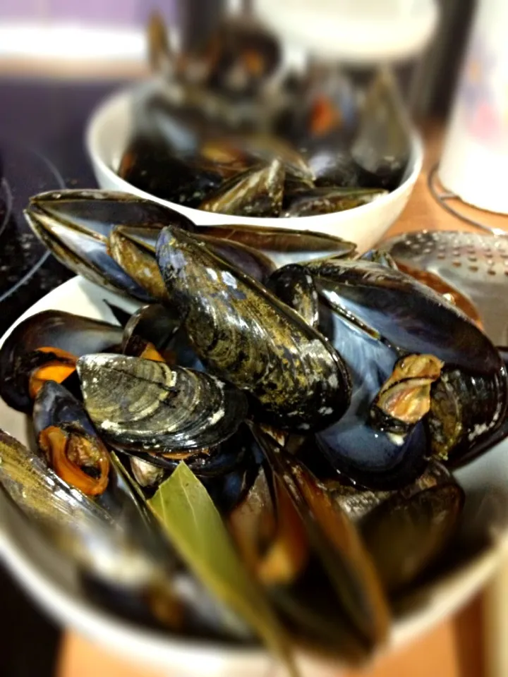 Mussels|Guillermoさん