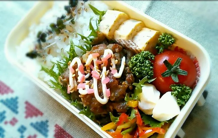 Snapdishの料理写真:豚こま肉のお好み焼き風弁当|Akoさん