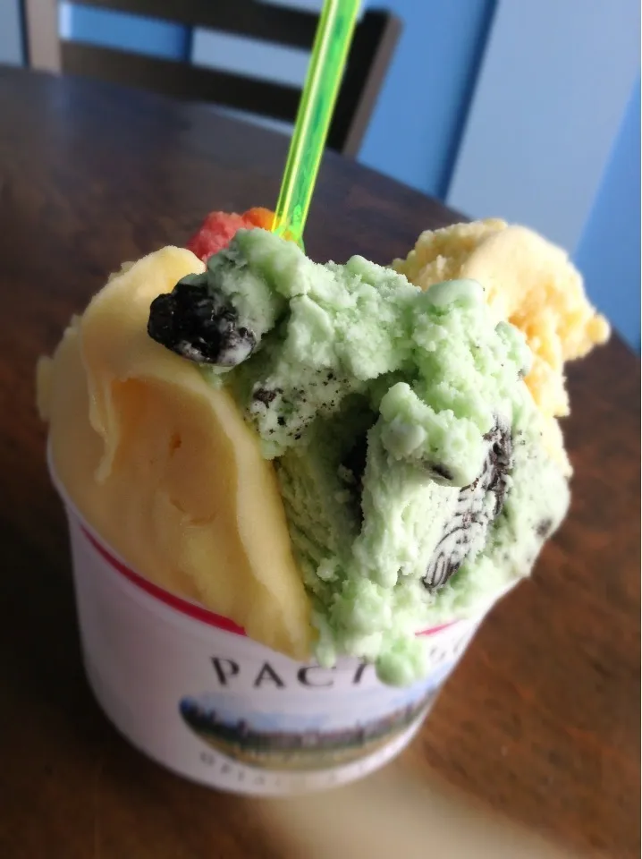 Paciugo's Gelato|kate limさん