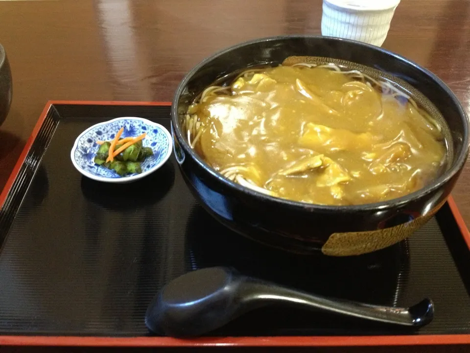 Snapdishの料理写真:カレー南ばん|murai_kさん