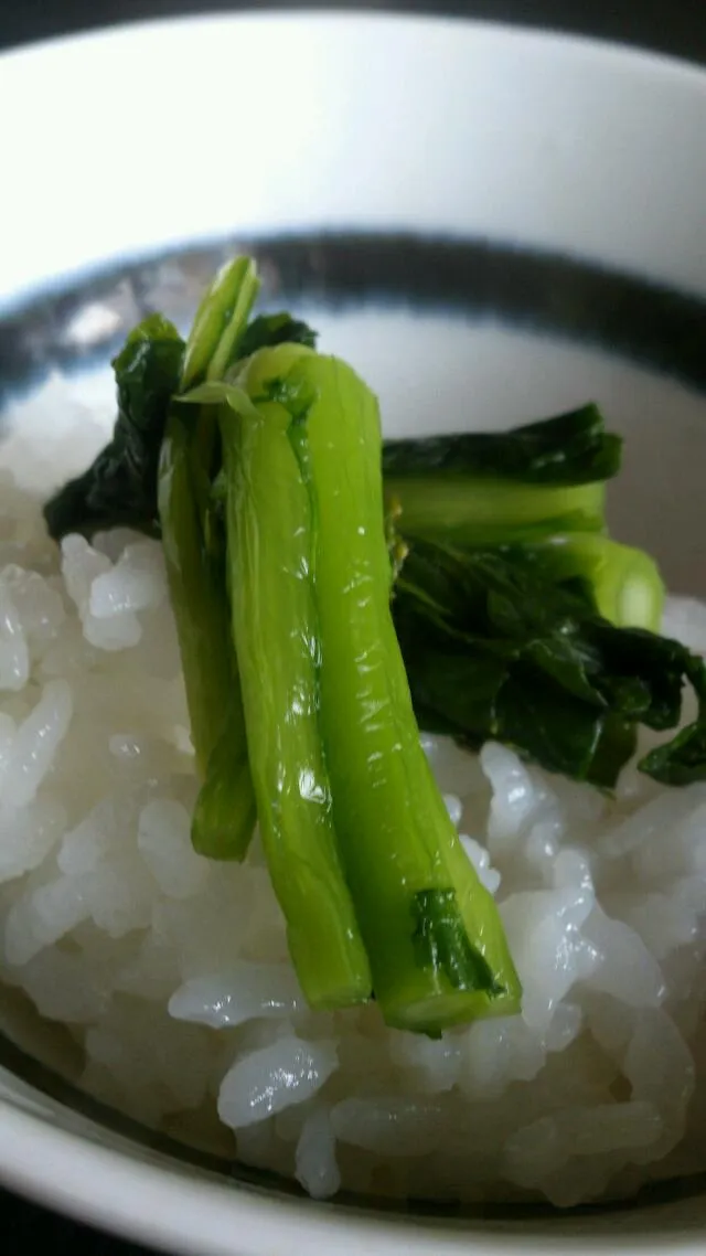 【代々木上原おこん】賄い 炊きたて土鍋御飯と自分で作った水かけ菜♪最高に旨い♪|うめロクさん