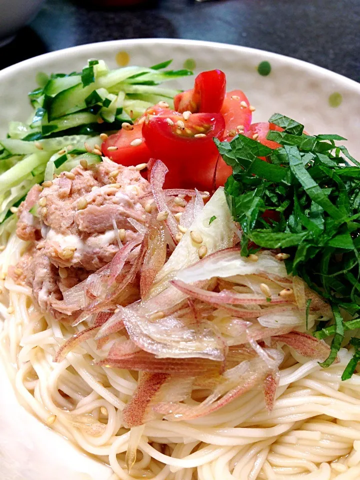 ツナとトマトのぶっかけそ〜めん|がぁがさん