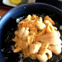 Snapdishの料理写真:うに丼〜|ミナさん