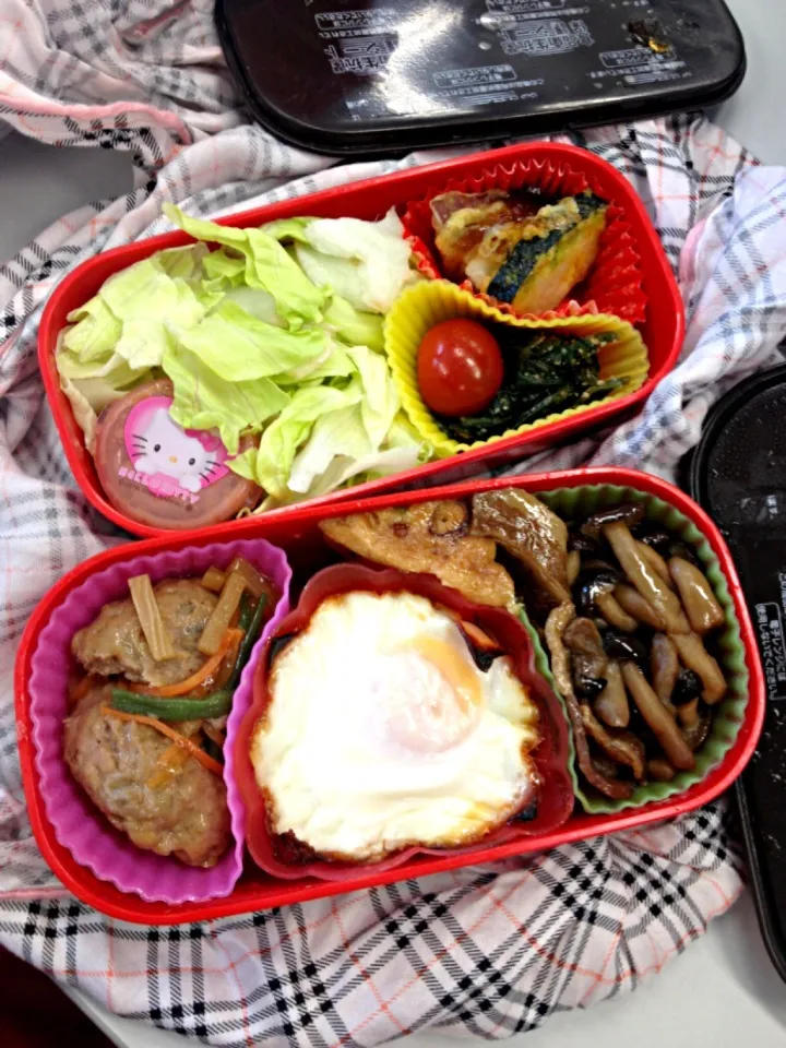 Snapdishの料理写真:お弁当！|まいさん