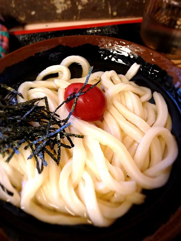 梅うどん。もちろん、冷で。|まりもさん