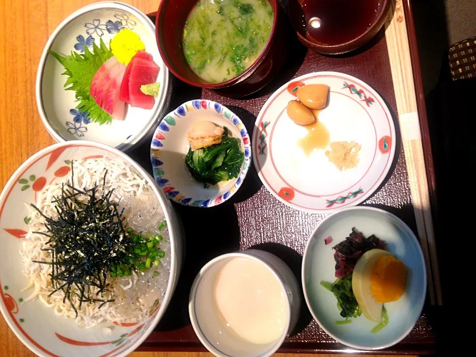 湘南しらす丼|ゆっかさん