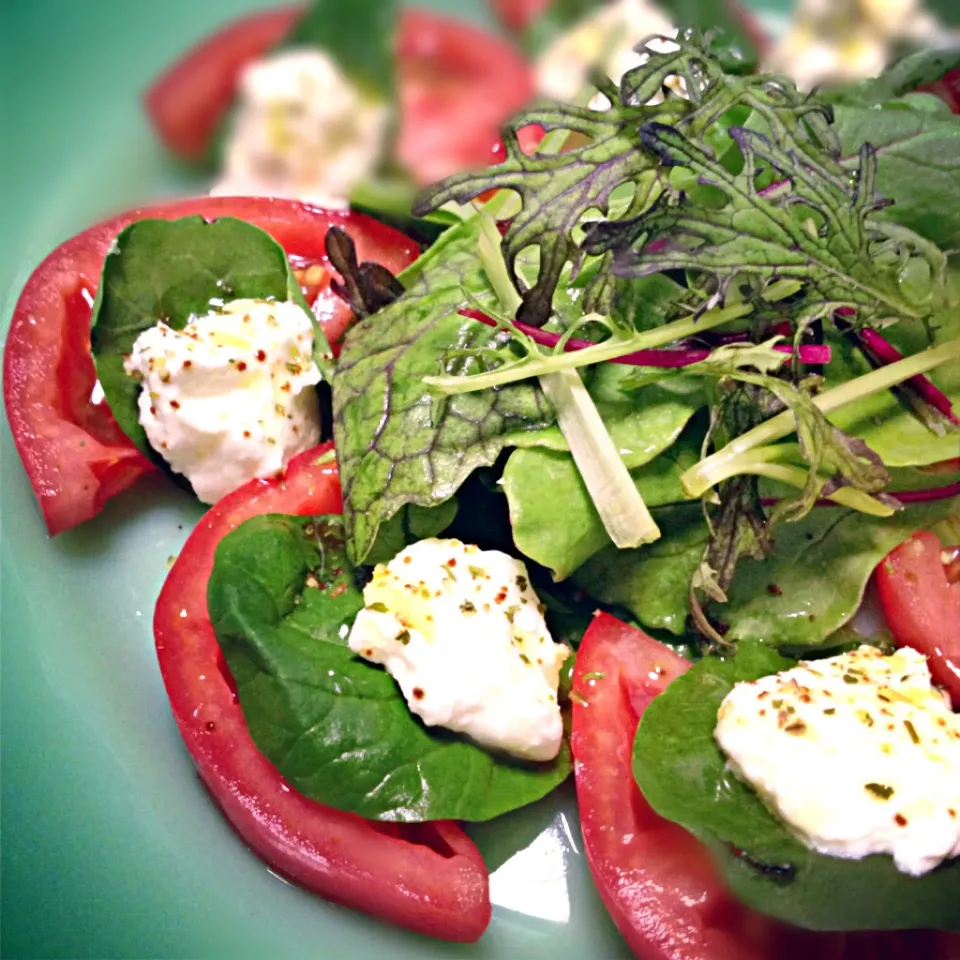 Caprese of a tomato and drainer yogurt|nori.co.jpさん