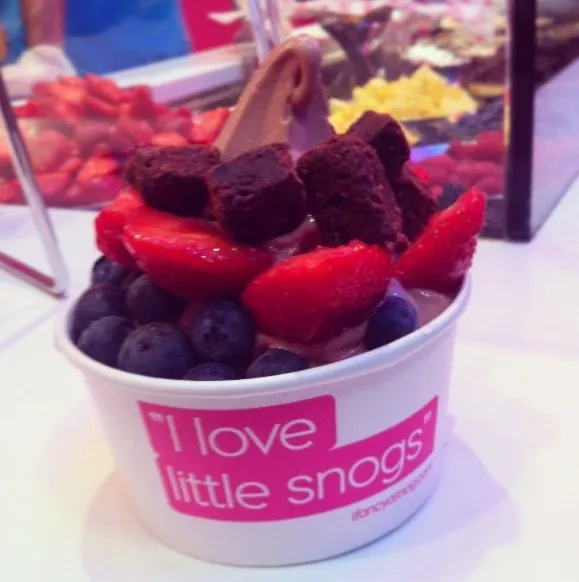 Snapdishの料理写真:Snog™ Frozen Yoghurt- chocolate with blueberries, strawberries and brownie bits|melbourne, australiaさん