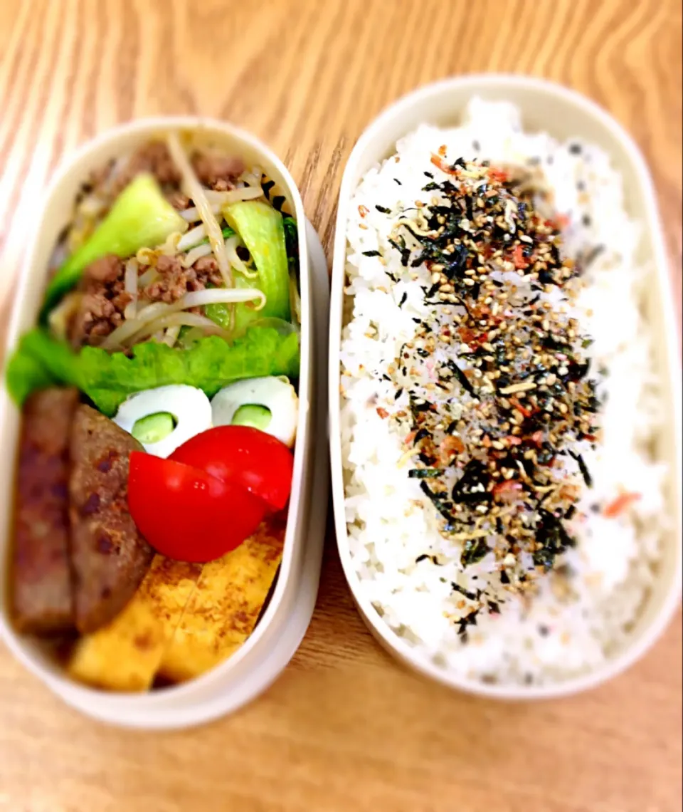 今日のお弁当|和江さん