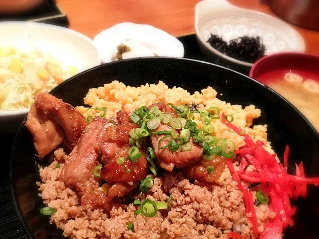 Snapdishの料理写真:若鶏の照焼き二色そぼろ丼|ひろろーんさん