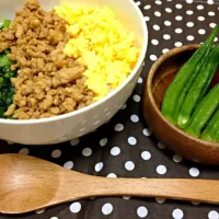 Snapdishの料理写真:三色そぼろ丼|akanenさん